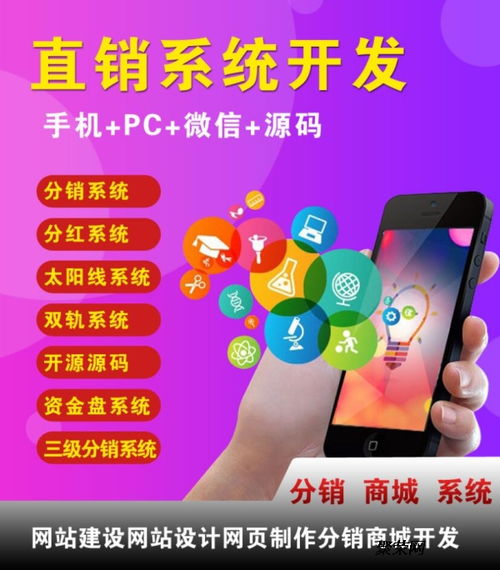 直銷軟件開發 打造專業高效的業務增長引擎
